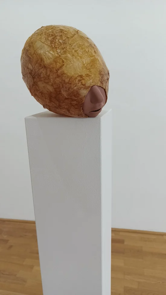 Sculpture Tick
