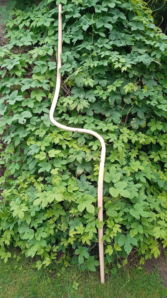 Sculpture Line