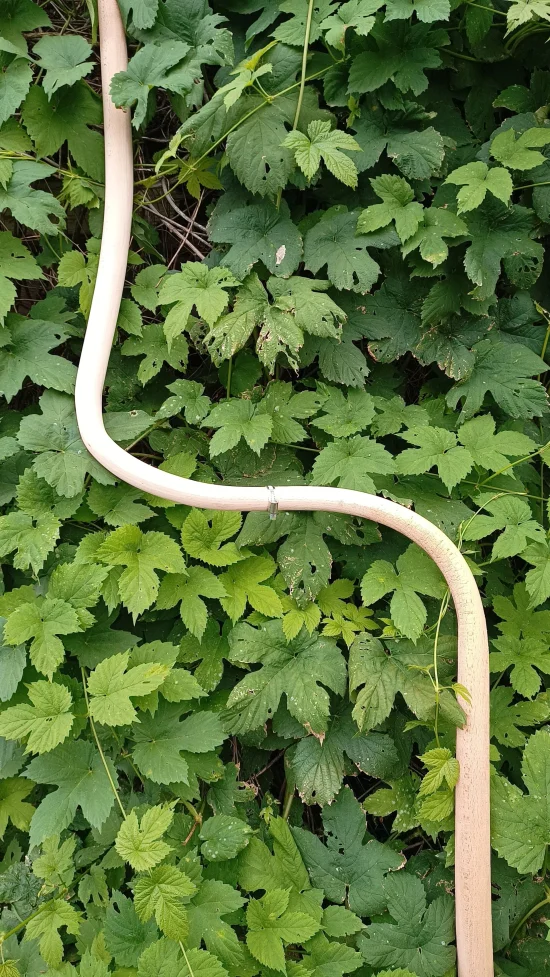 Sculpture Line