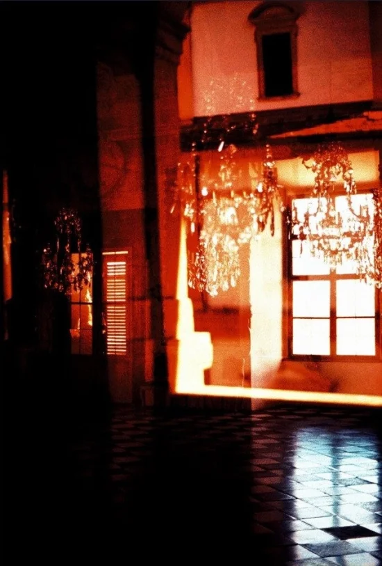 Photography Royal Red 1